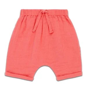 Short Charlie Rose